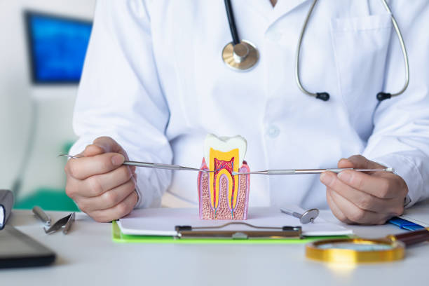 Best Emergency Orthodontic Services in Le Roy, IL